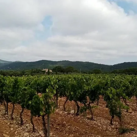 T2 Au Coeur Des Vignes アパート