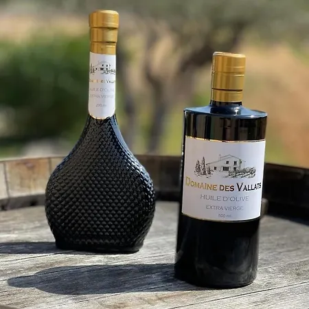 T2 Au Coeur Des Vignes * コゴラン
