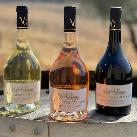 アパート T2 Au Coeur Des Vignes